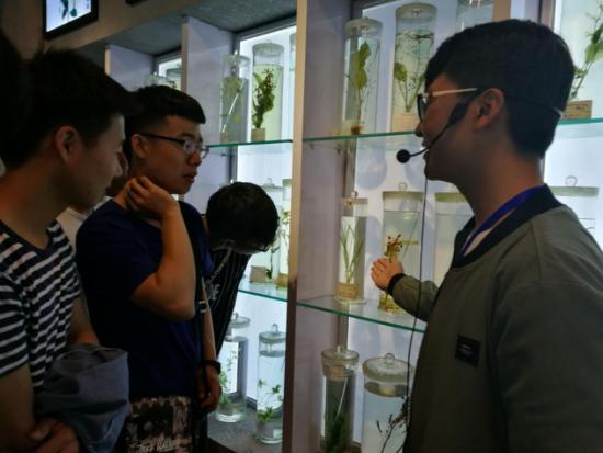 听讲解员介绍中药标本知识